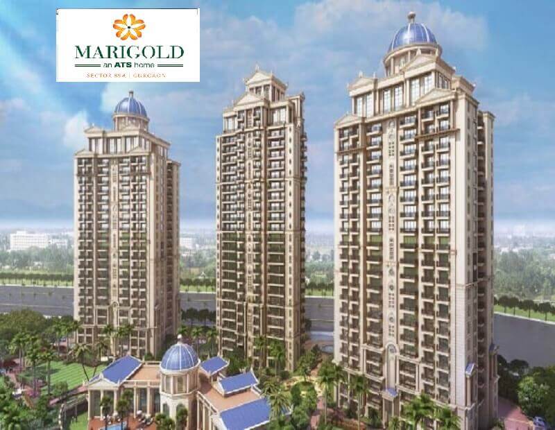 Paradise Consulting ATS Marigold 89A ATS Marigold 89A